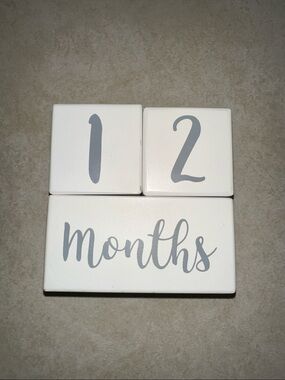 White Monthly Milestone Wooden Blocks - Baby Photo Prop